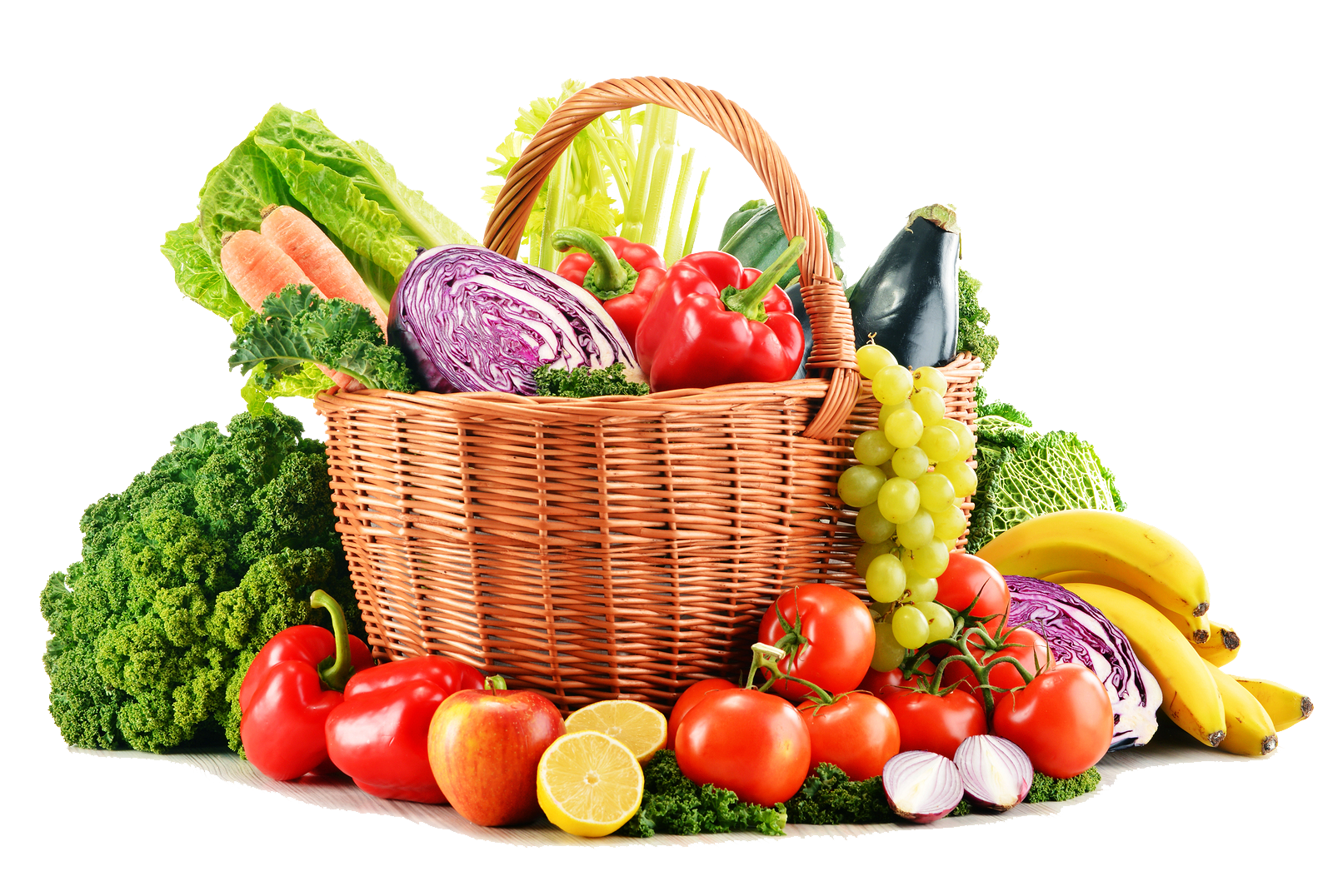 Fast & Fresh