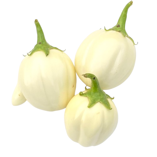 Queen Tomatoes